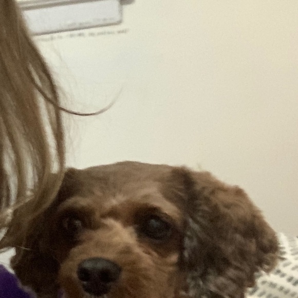 Meet your Posher, Z - Picture 5 of 5